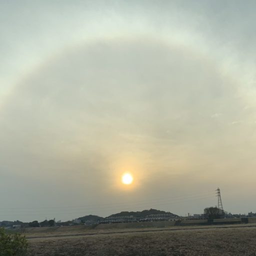 いしちゃんの知恵袋